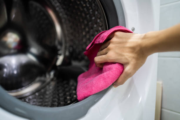 Best Mold Odor Removal Services  in , OH