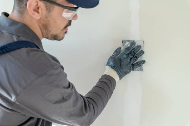 Best Residential Mold Inspection & Testing  in , OH